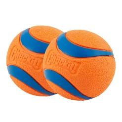 Chuckit! Ultra Ball Dog Toy Blue/Orange Large 2 Pack of 1 Count