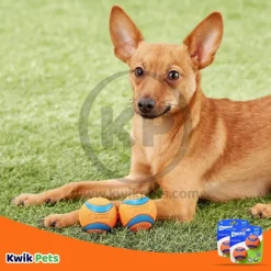 Chuckit! Ultra Ball Dog Toy Blue/Orange Small 2 Pack of 2 Count