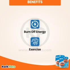 Chuckit! Ultra Ball Dog Toy Blue/Orange Medium 2 Pack of 2 Count