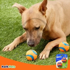 Chuckit! Ultra Ball Dog Toy Blue/Orange Small 2 Count