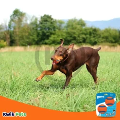Chuckit! Ultra Ball Dog Toy Blue/Orange Medium 2 Count