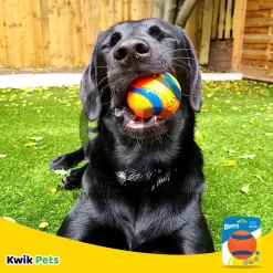 Chuckit! Ultra Ball Dog Toy Blue/Orange X-Large