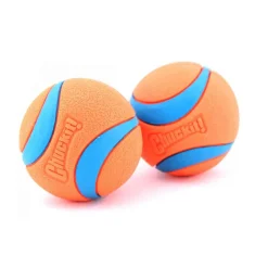 Chuckit! Ultra Ball Dog Toy Blue/Orange X-Large