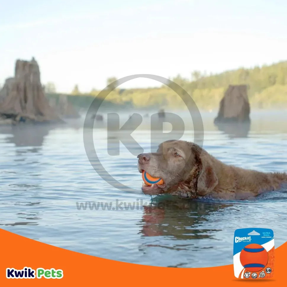 Chuckit! Ultra Ball Dog Toy Blue/Orange Large