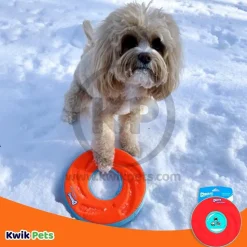 Chuckit! ZipFlight Flying Ring Dog Toy Assorted Medium