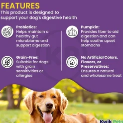 Cloud Star Dynamo Dog Tummy Functional Treats Pumpkin & Ginger 14-oz