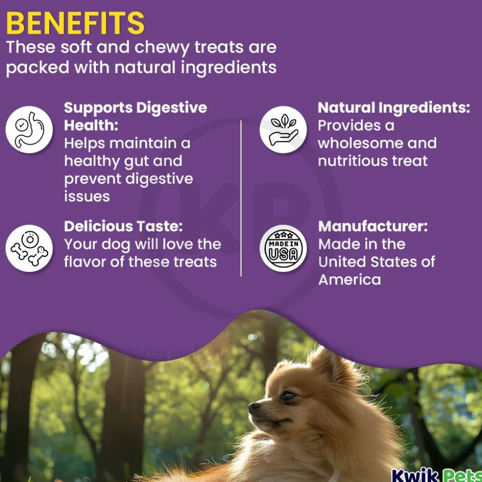 Cloud Star Dynamo Dog Tummy Functional Treats Pumpkin & Ginger 14-oz
