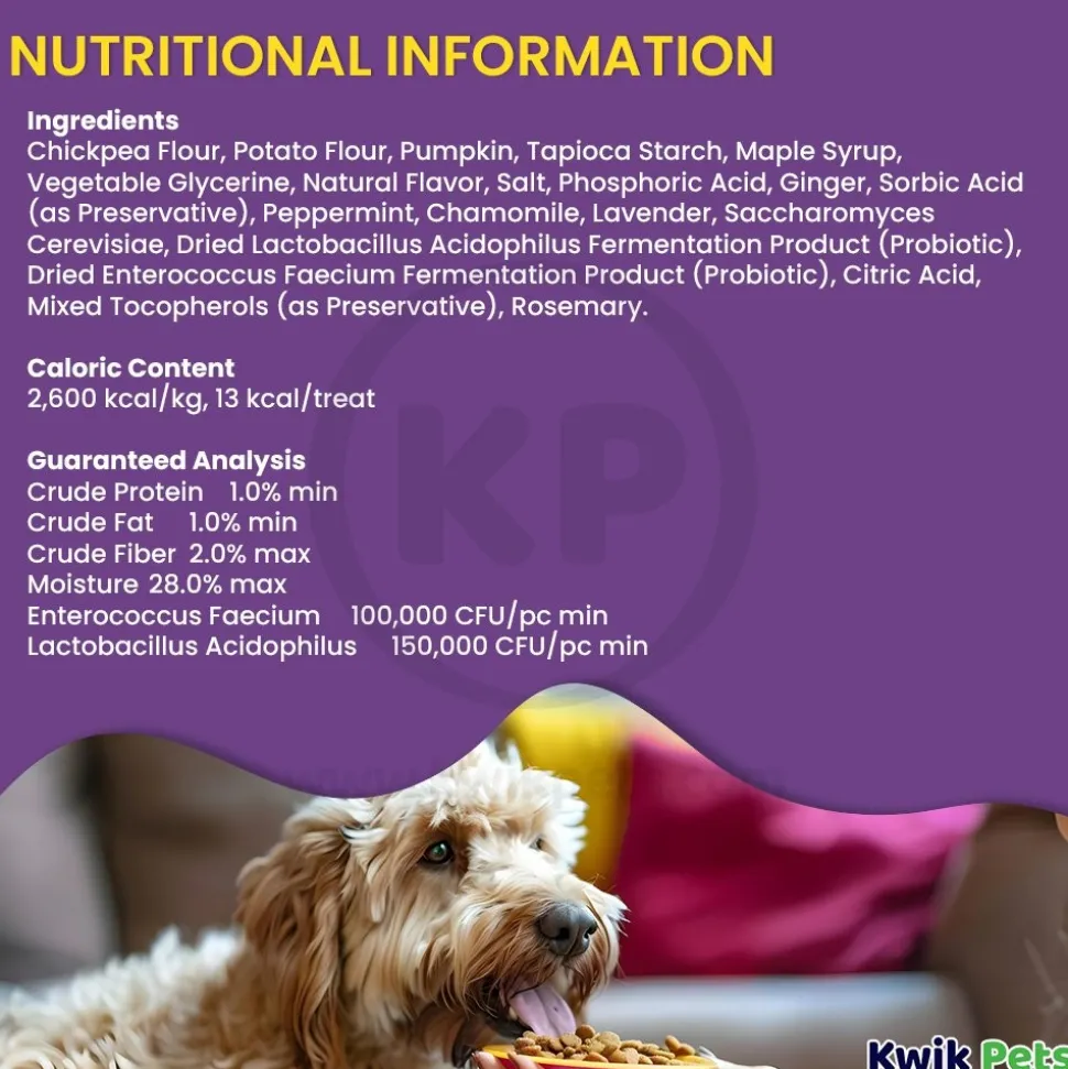 Cloud Star Dynamo Dog Tummy Functional Treats Pumpkin & Ginger 14-oz