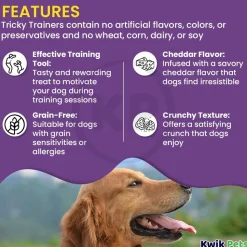 Cloud Star Tricky Trainers Crunchy Dog Training Treats Cheddar 8-oz