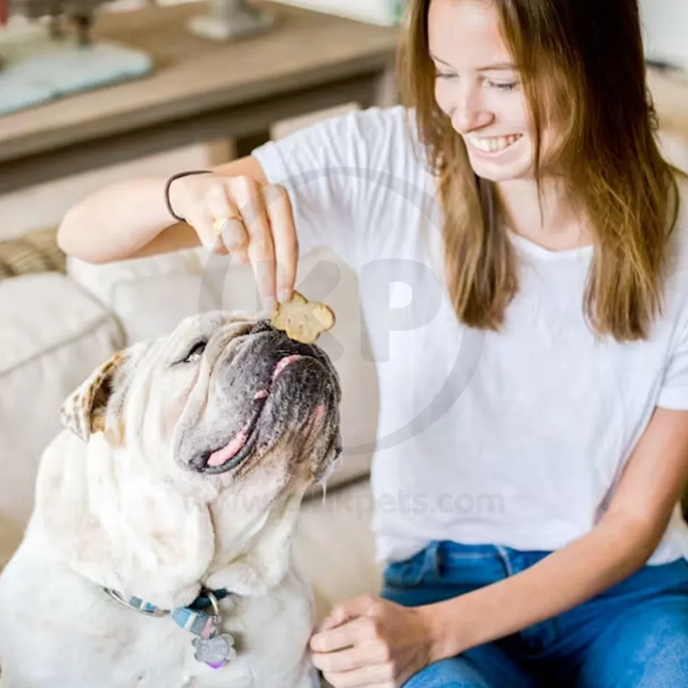 Cloud Star Wag More Bark Less Grain Free Biscuits Crunchy Dog Treats with Natural Peanut Butter & Apple 14-oz