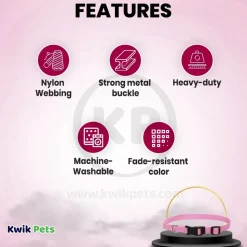 Coastal Adjustable Nylon Dog Collar with Plastic Buckle Bright Pink 5/8 in X 10-14 in