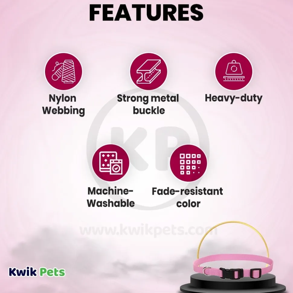 Coastal Adjustable Nylon Dog Collar with Plastic Buckle Bright Pink 3/4 in X 14-20 in