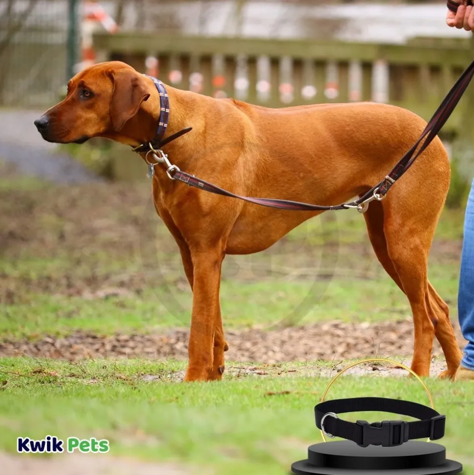 Coastal Adjustable Nylon Dog Collar with Plastic Buckle Black 1 in X 18-26 in