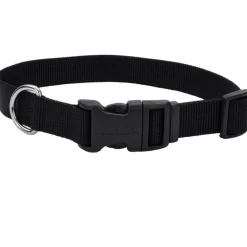 Coastal Adjustable Nylon Dog Collar with Plastic Buckle Black 3/4 in X 14-20 in