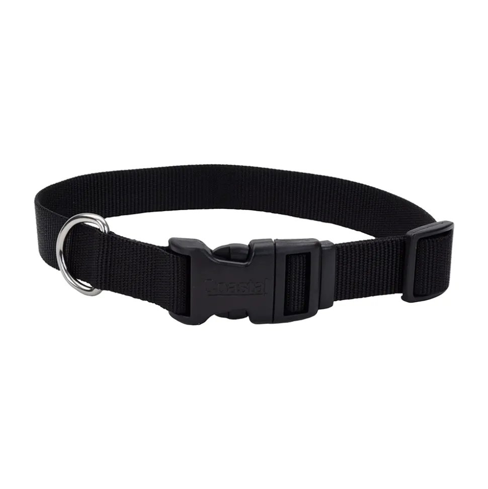 Coastal Adjustable Nylon Dog Collar with Plastic Buckle Black 3/8 in X 8-12 in