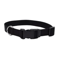 Coastal Adjustable Nylon Dog Collar with Plastic Buckle Black 5/8 in X 10-14 in