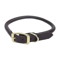 Coastal Circle T Latigo Leather Round Dog Collar Brown 3/4 in X 20 in