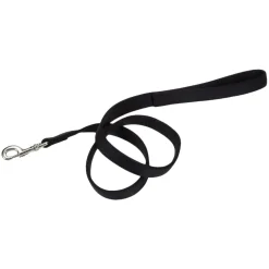 Coastal Double-Ply Nylon Dog Leash Black 1 in X 6 ft