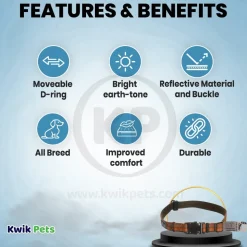 Coastal K9 Explorer Reflective Adjustable Dog Collar Campfire Orange 1 in X 12-18 in