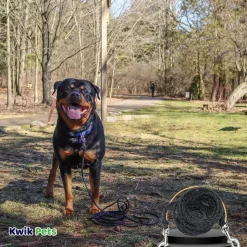 Coastal Poly Big Dog Tie Out Black 3/8 in X 20 ft
