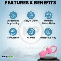 Coastal Rascals Latex Pacifier Dog Toy Pink 4.5 in