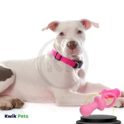 Coastal Rascals Latex Pacifier Dog Toy Pink 4.5 in