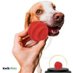 Coastal Rascals Latex Spiny Ball Dog Toy Red 2.5-in