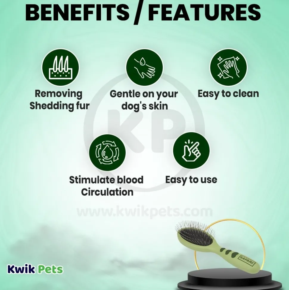 Coastal Safari Wire Pin Brush for Dogs Green Small