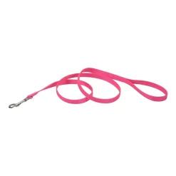 Coastal Single-Ply Nylon Dog Leash Neon Pink 3/8 in X 6 ft