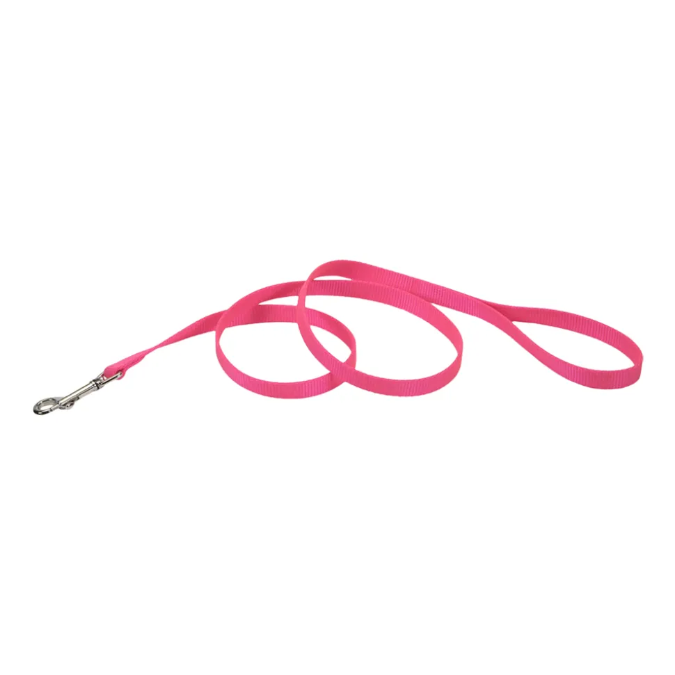 Coastal Single-Ply Nylon Dog Leash Neon Pink 3/8 in X 6 ft