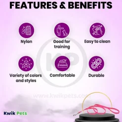 Coastal Single-Ply Nylon Dog Leash Neon Pink 3/8 in X 6 ft