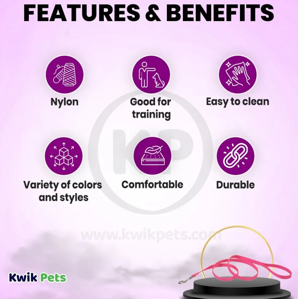 Coastal Single-Ply Nylon Dog Leash Neon Pink 3/8 in X 6 ft