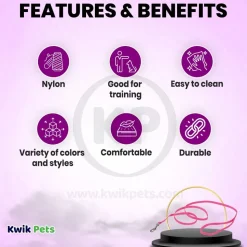 Coastal Single-Ply Nylon Dog Leash Pink Bright 5/8 in X 6 ft