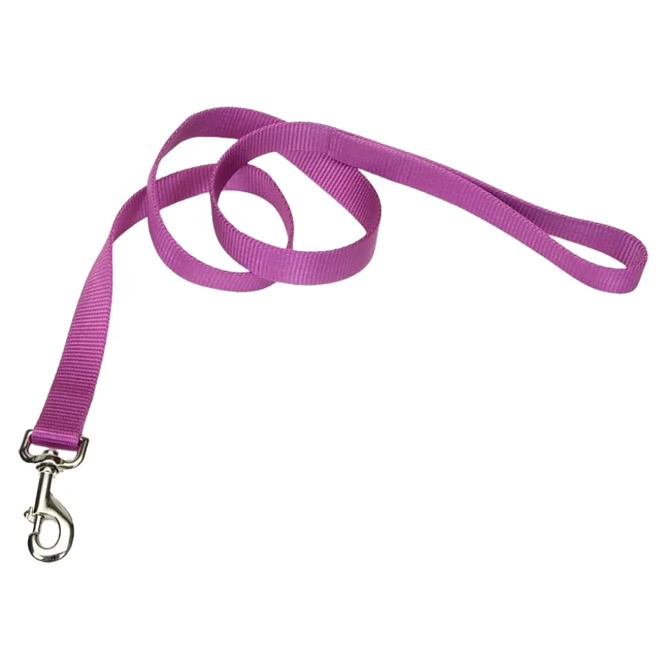 Coastal Single-Ply Nylon Dog Leash Orchid 1 in X 6 ft