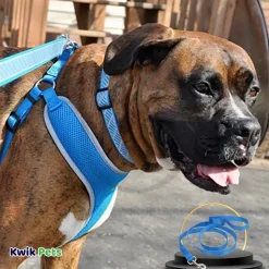 Coastal Single-Ply Nylon Dog Leash Blue 3/8 in X 6 ft