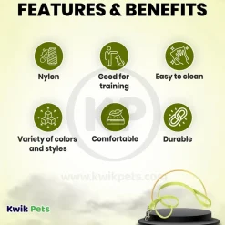Coastal Single-Ply Nylon Dog Leash Lime 1 in X 6 ft