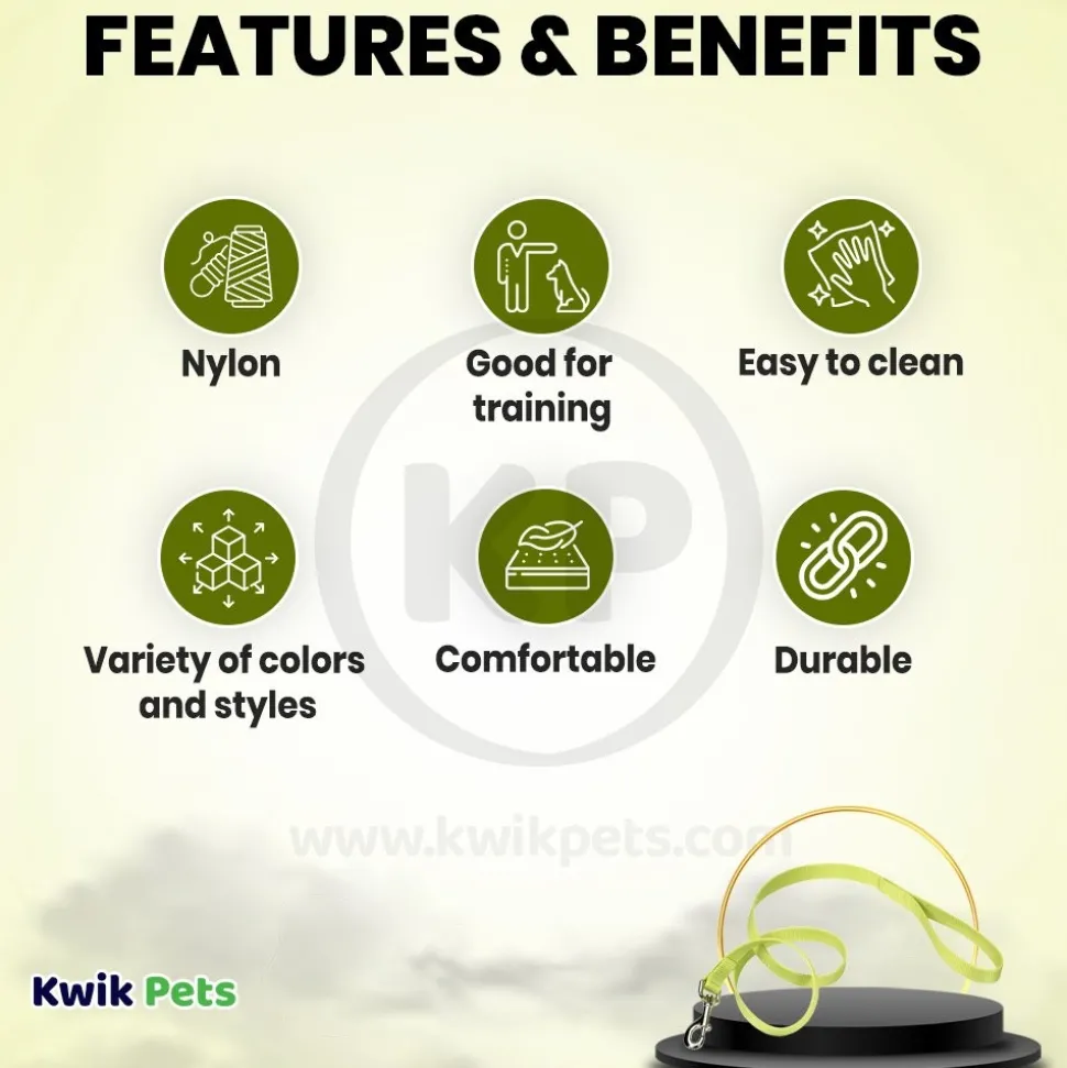 Coastal Single-Ply Nylon Dog Leash Lime 1 in X 6 ft