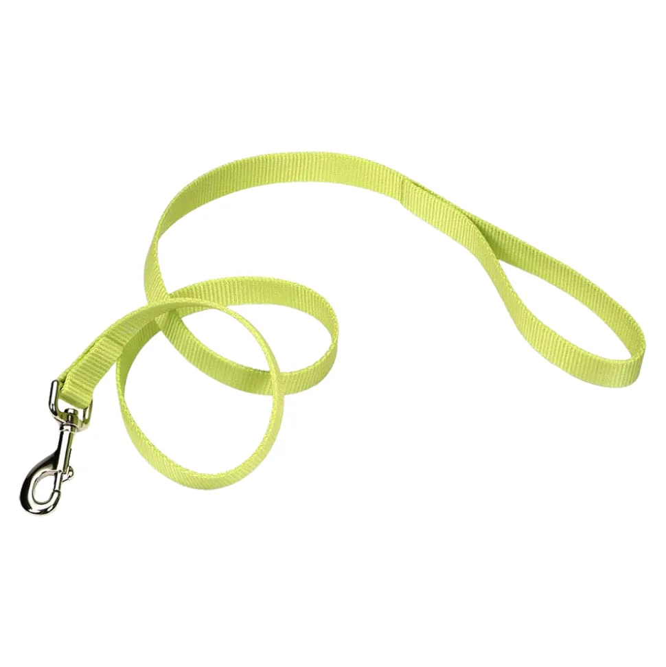 Coastal Single-Ply Nylon Dog Leash Lime 1 in X 6 ft