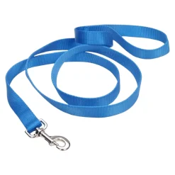 Coastal Single-Ply Nylon Dog Leash Blue 1 in X 6 ft