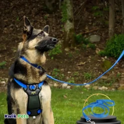Coastal Single-Ply Nylon Dog Leash Blue 1 in X 6 ft