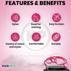 Coastal Single-Ply Nylon Dog Leash Pink Flamingo 1 in X 6 ft