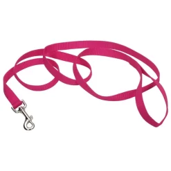 Coastal Single-Ply Nylon Dog Leash Pink Flamingo 1 in X 6 ft