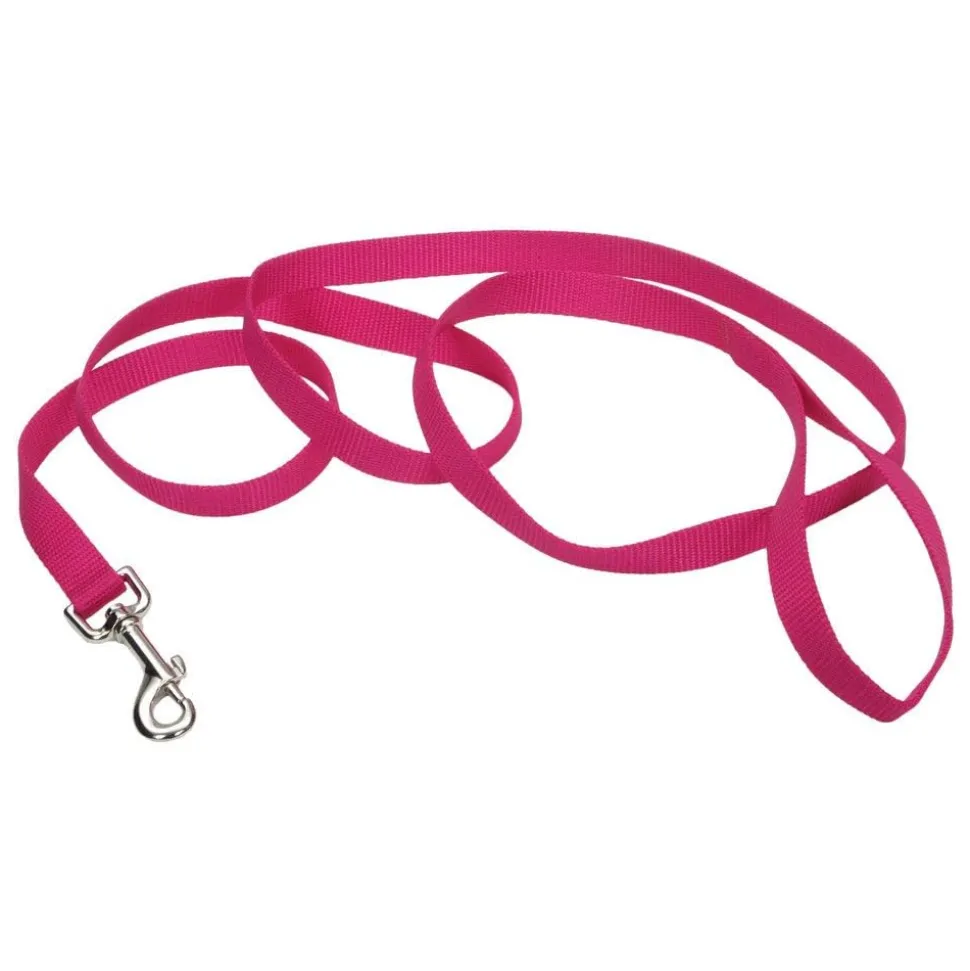Coastal Single-Ply Nylon Dog Leash Pink Flamingo 1 in X 6 ft