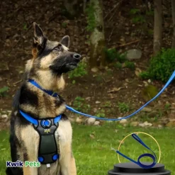 Coastal Single-Ply Nylon Dog Leash Blue 5/8 in X 6 ft