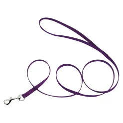 Coastal Single-Ply Nylon Dog Leash Purple 3/8 in X 6 ft