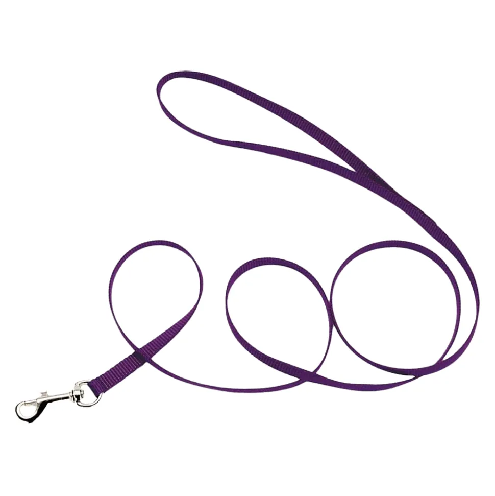Coastal Single-Ply Nylon Dog Leash Purple 3/8 in X 6 ft