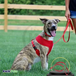 Coastal Single-Ply Nylon Dog Leash Red 3/8 in X 6 ft