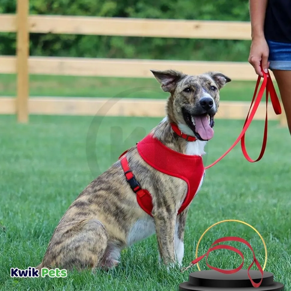 Coastal Single-Ply Nylon Dog Leash Red 3/8 in X 6 ft