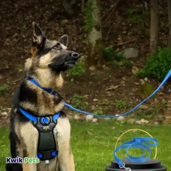 Coastal Single-Ply Nylon Dog Leash Blue Lagoon 1 in X 6 ft