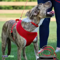 Coastal Single-Ply Nylon Dog Leash Red 5/8 in X 6 ft
